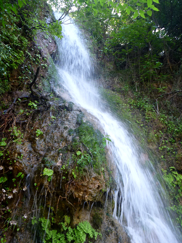 p1140922_.jpg