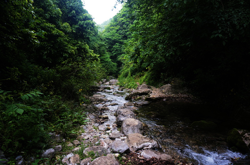 dsc02130_.jpg