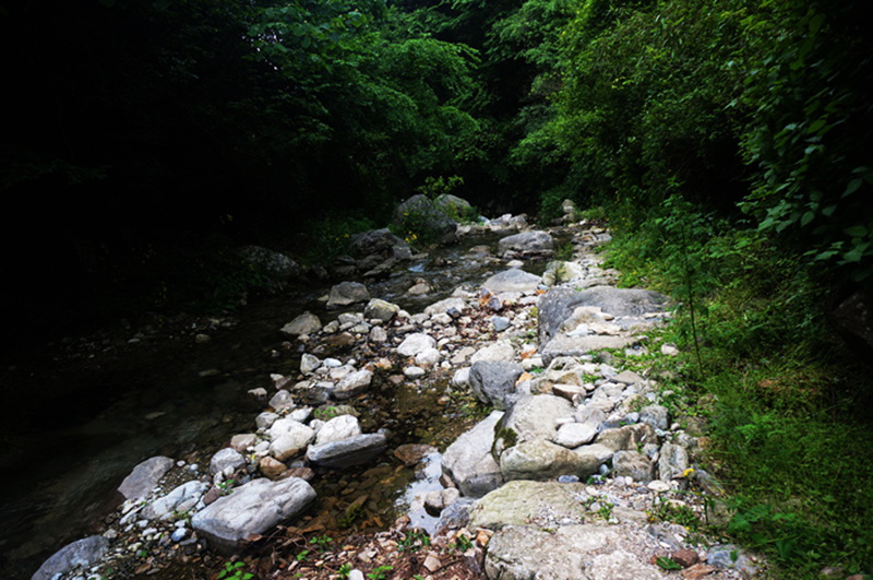 dsc02131_.jpg