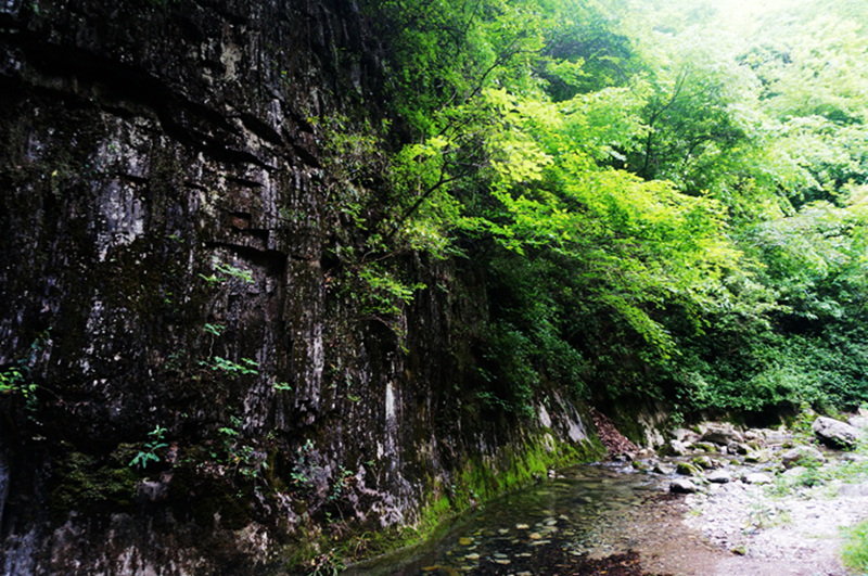 dsc02133_.jpg