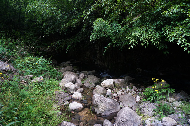 dsc02134_.jpg