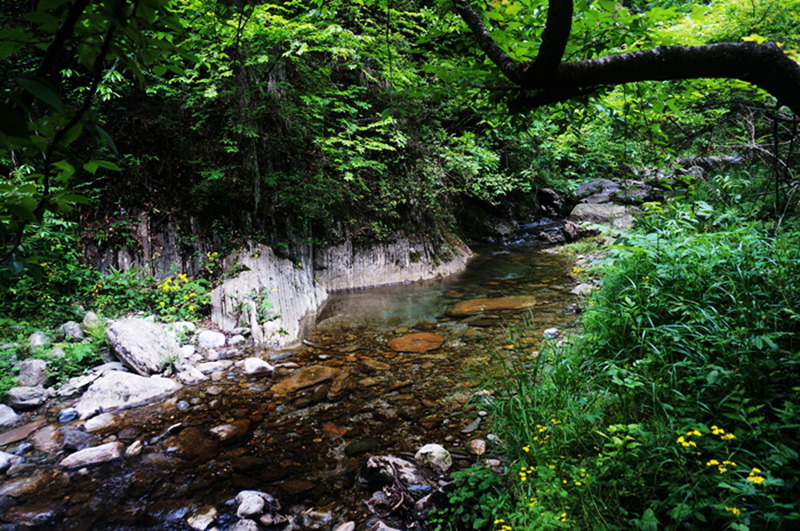 dsc02135_.jpg