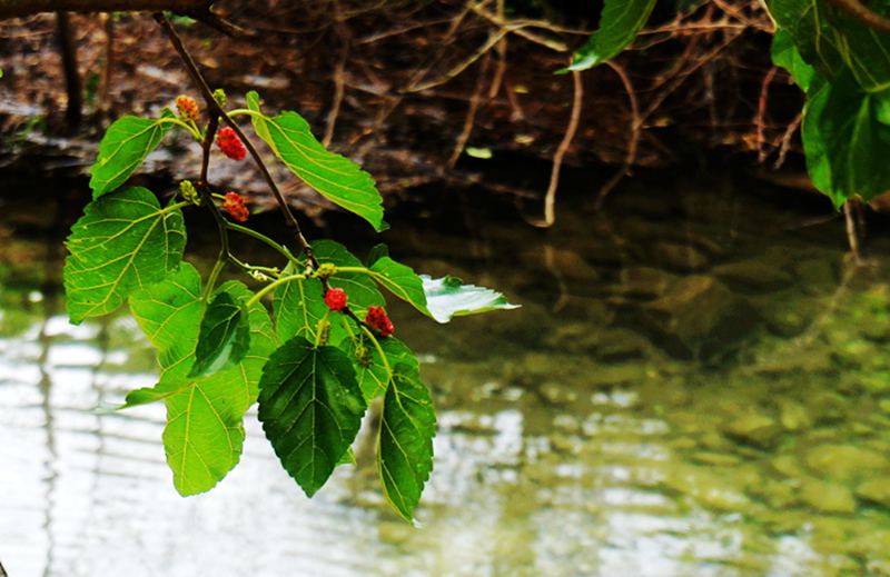 dsc02145_.jpg