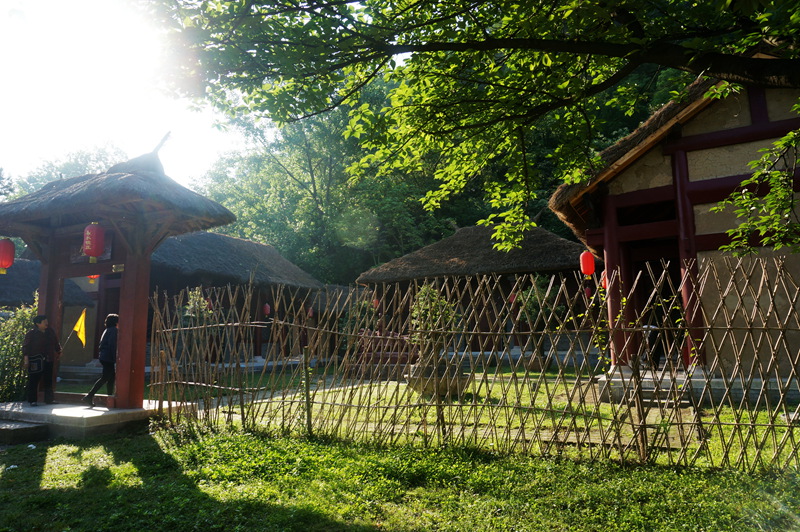 dsc02180_.jpg