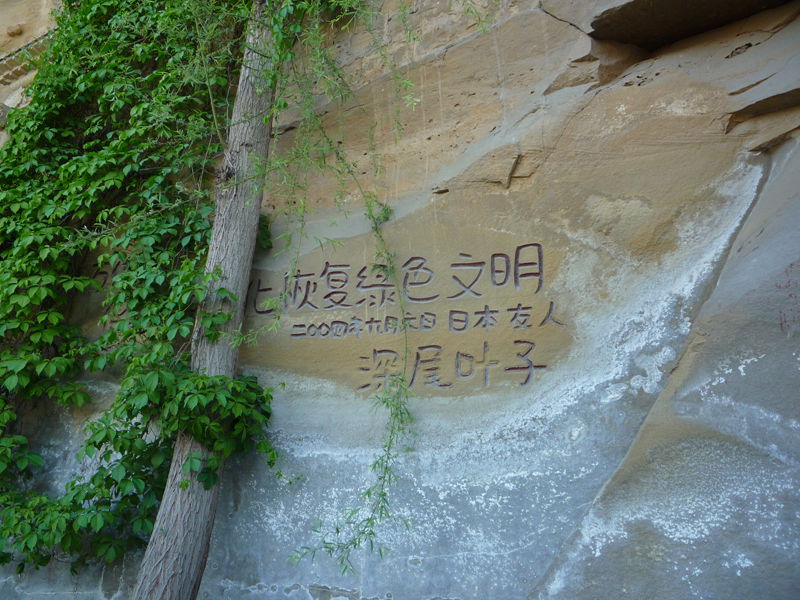 p1190383_.jpg