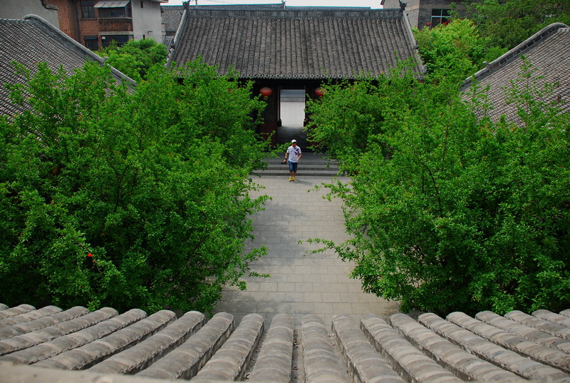 dsc_9546.jpg