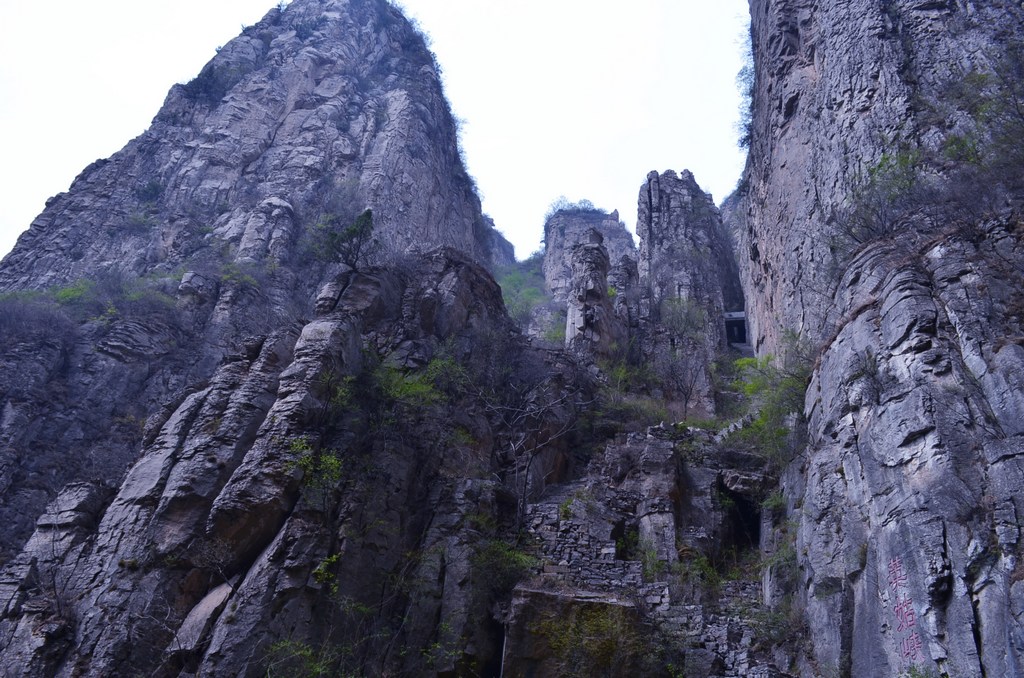 dsc_0726.jpg