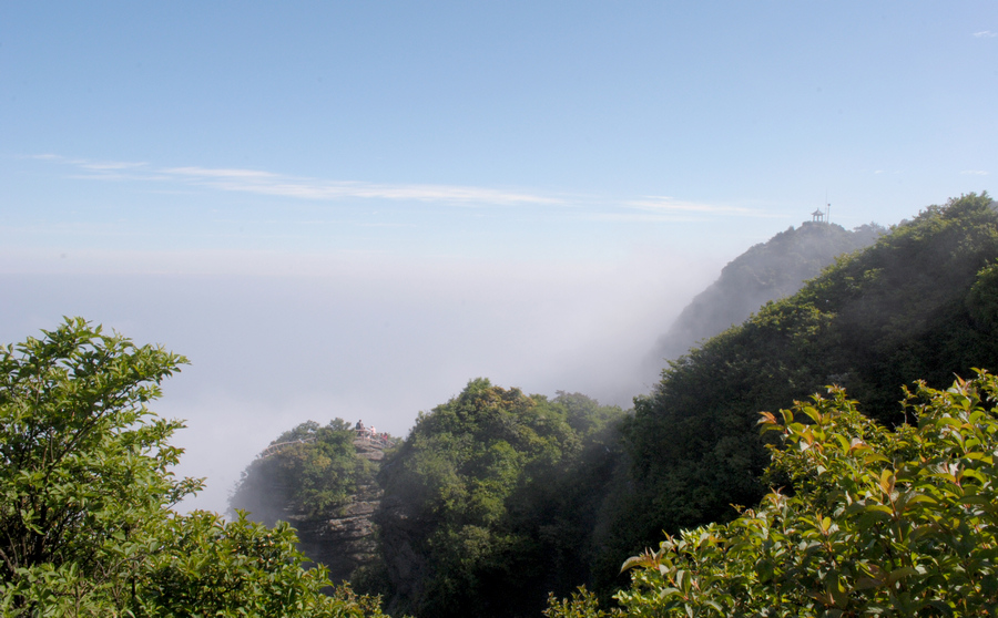 dsc_0306.jpg