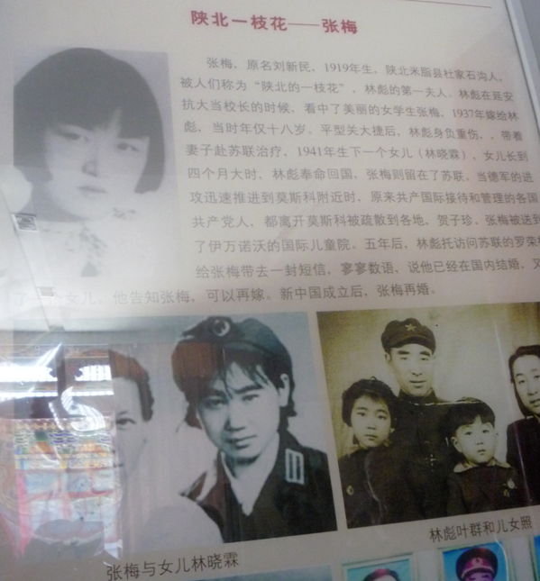 p1190383_.jpg