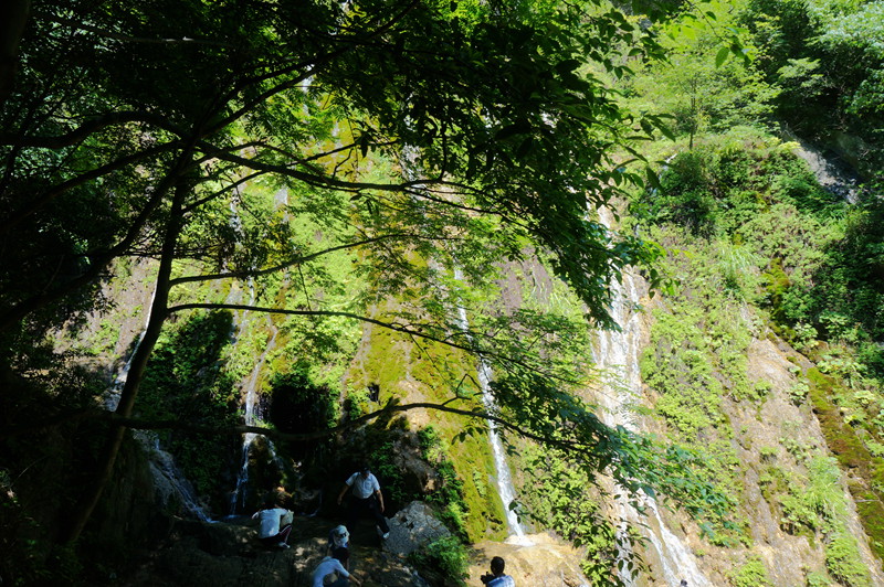dsc02235_.jpg