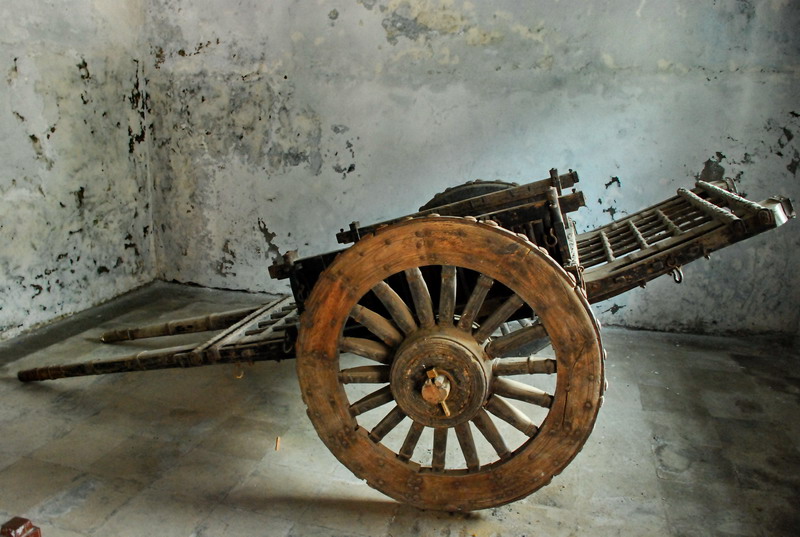 dsc_9557.jpg