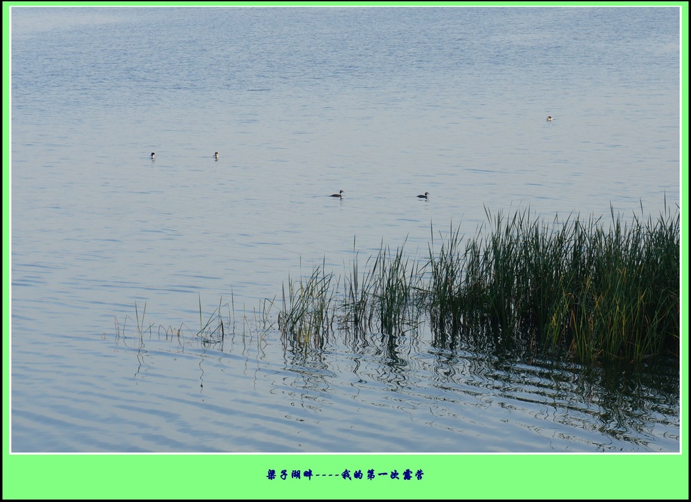 Ӻ¶Ӫ22.jpg