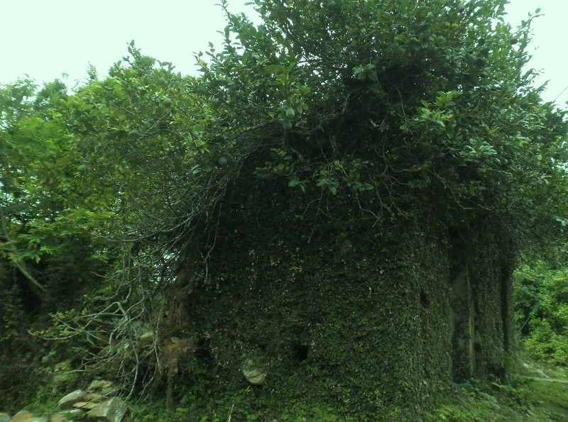 塔门 (11).jpeg