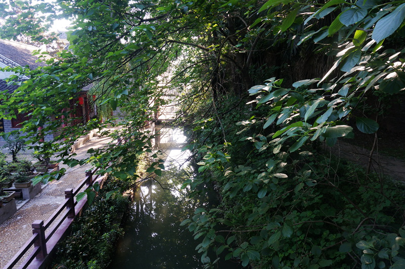 dsc02202_.jpg