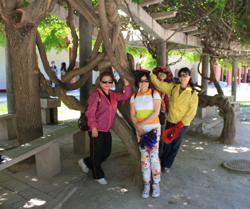 p1190383_.jpg