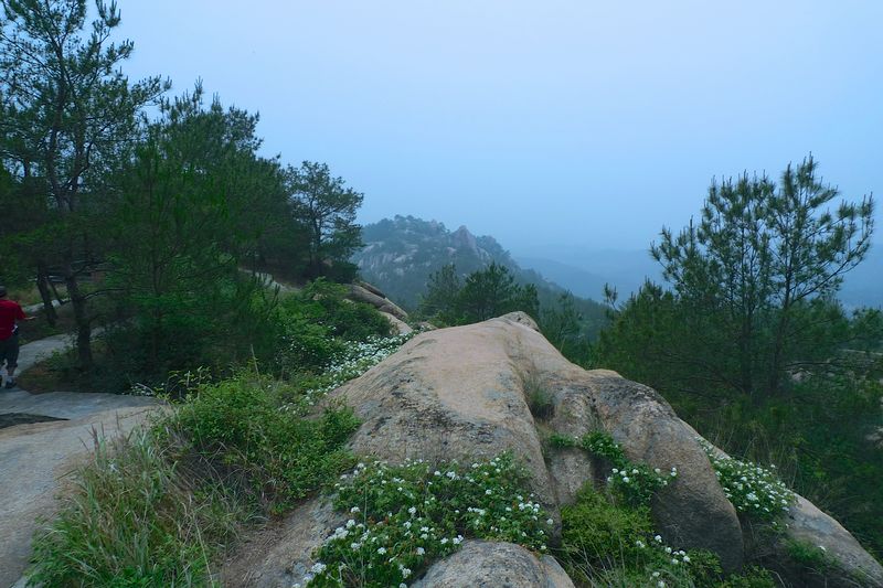  144.jpg
