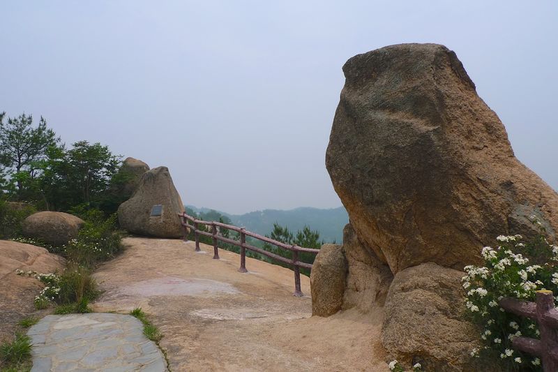  145.jpg