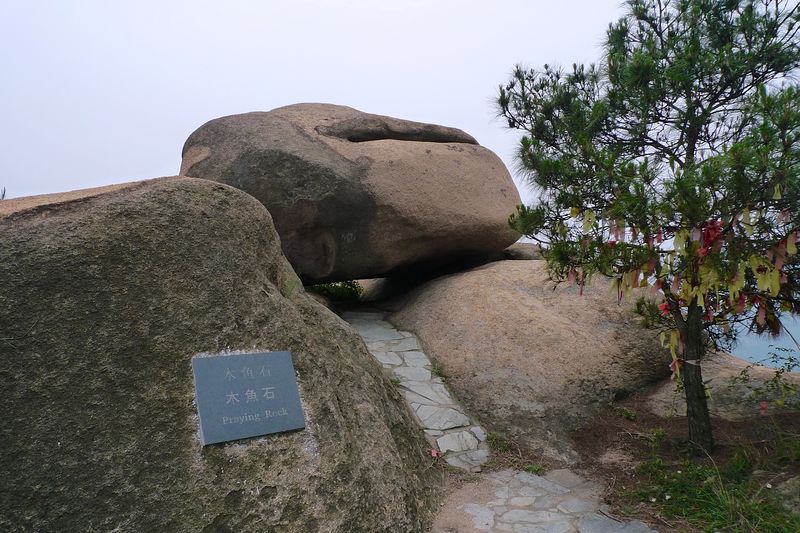  146.jpg