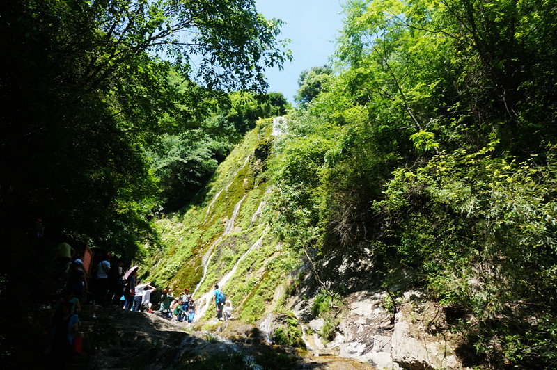dsc02245_.jpg