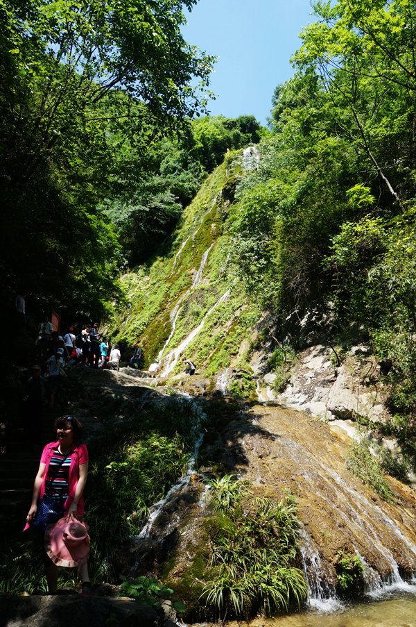 dsc02247_.jpg