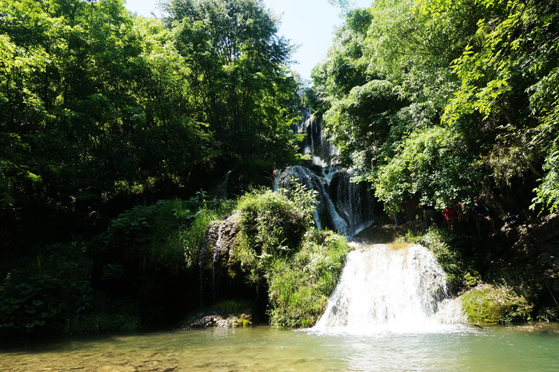 dsc02252_.jpg