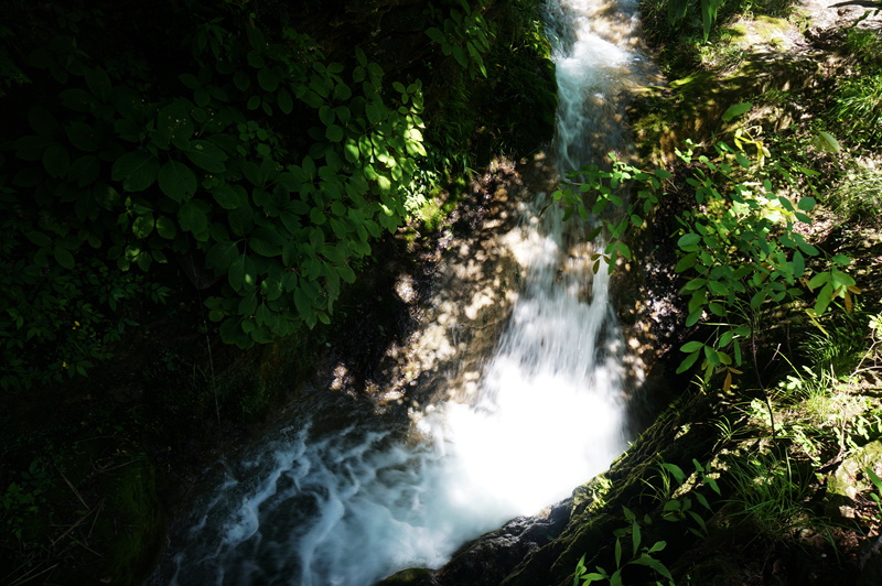 dsc02266_.jpg