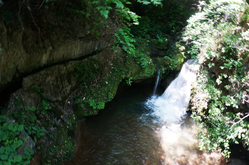 dsc02267_.jpg