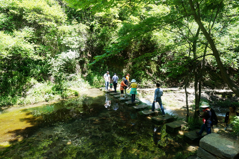 dsc02268_.jpg