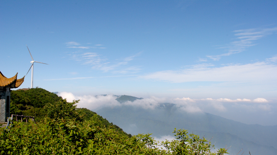 dsc_0338.jpg