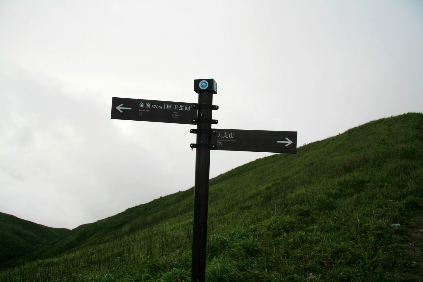 136.jpg