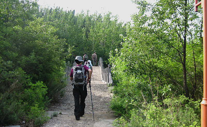 img_2611_1.jpg