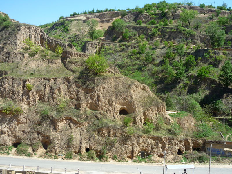 p1190383_.jpg