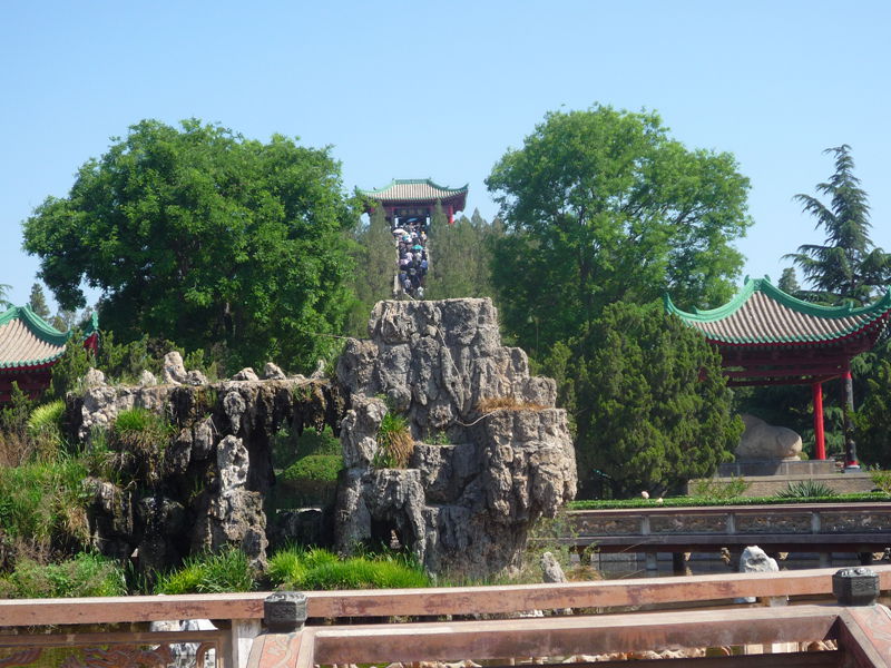 p1190383_.jpg