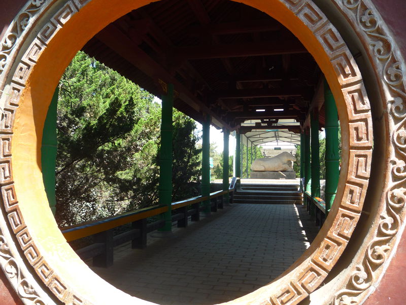 p1190383_.jpg