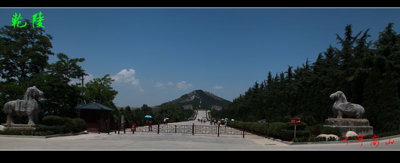 img_0979.jpg