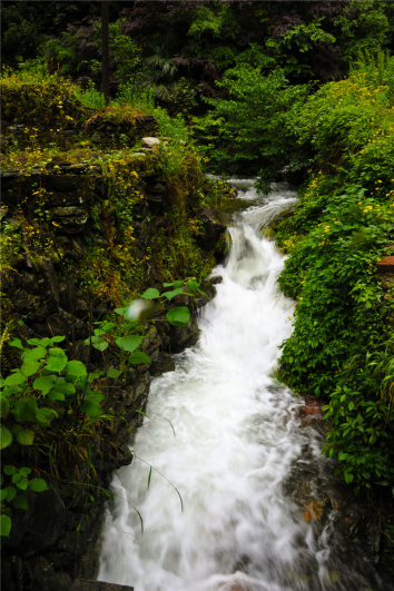 2013518ӹ16.jpg