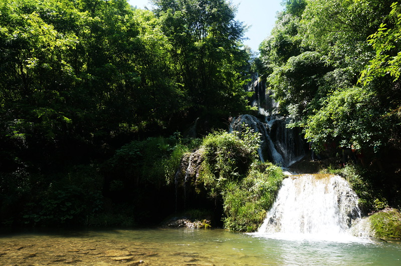 dsc02253_.jpg