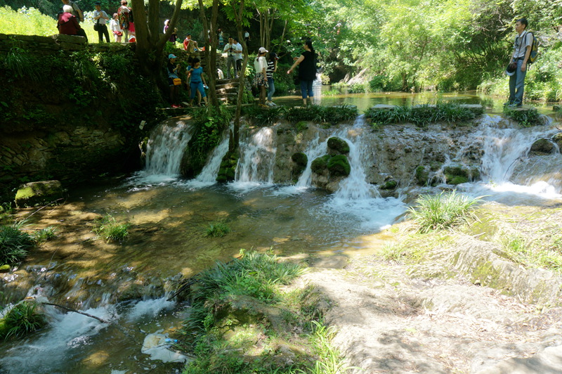 dsc02270_.jpg