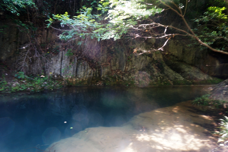 dsc02272_.jpg