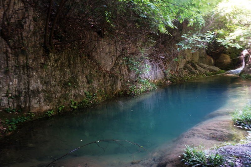dsc02276_.jpg