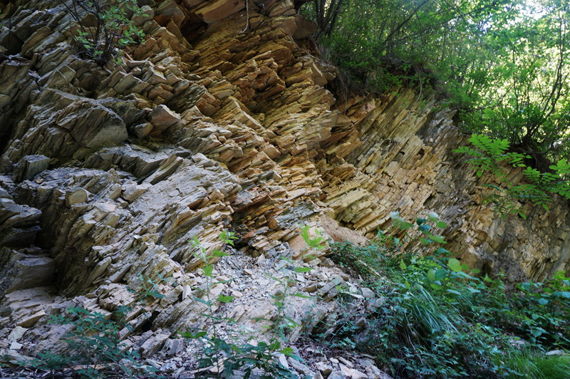 dsc02279_.jpg
