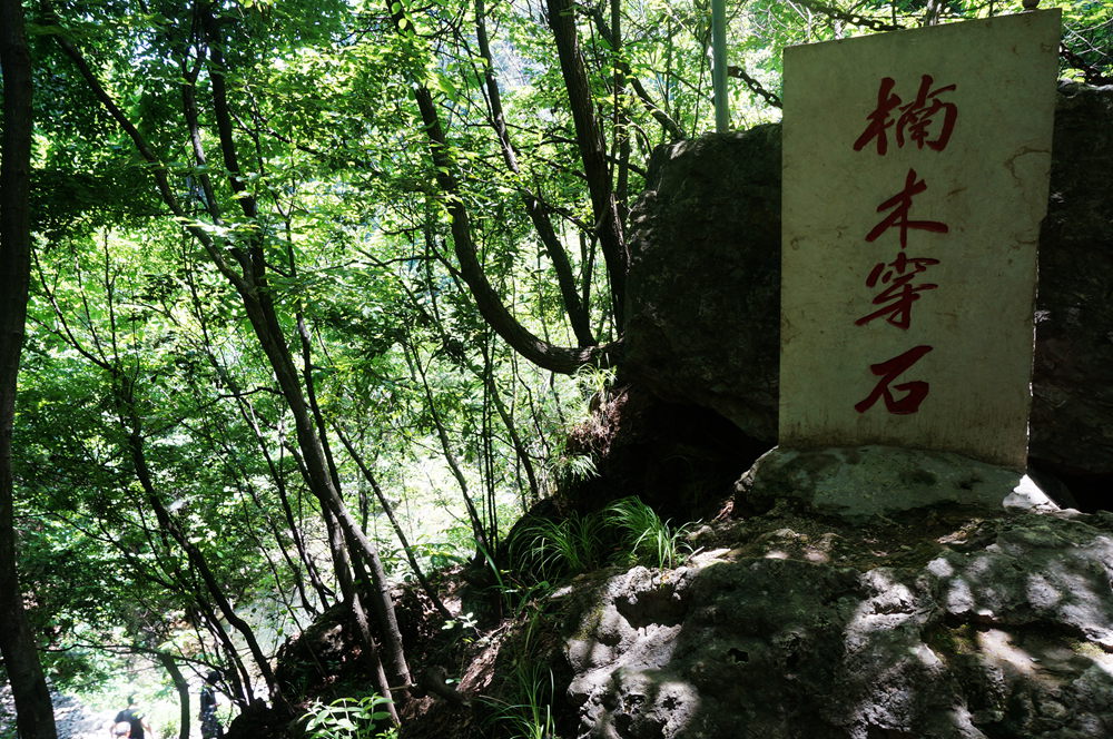dsc02301_.jpg