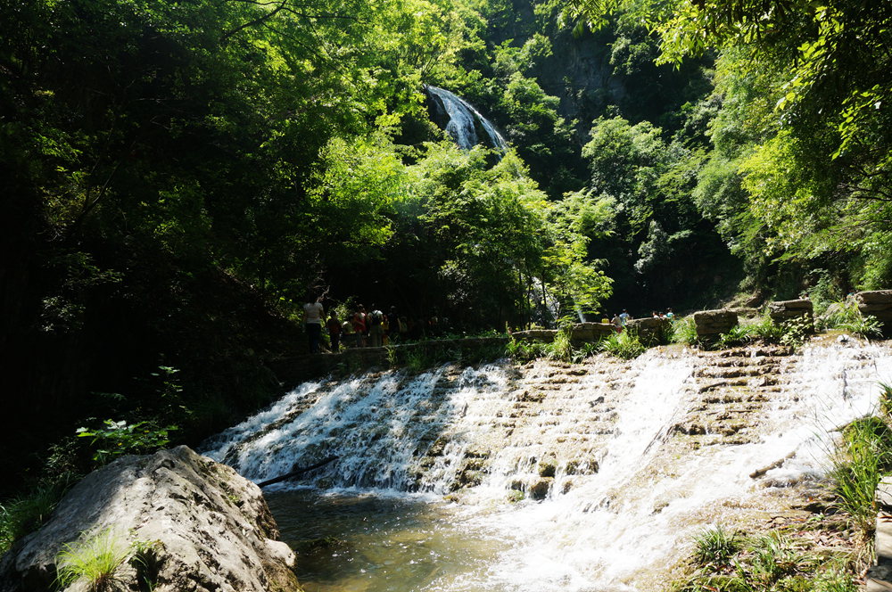 dsc02295_.jpg