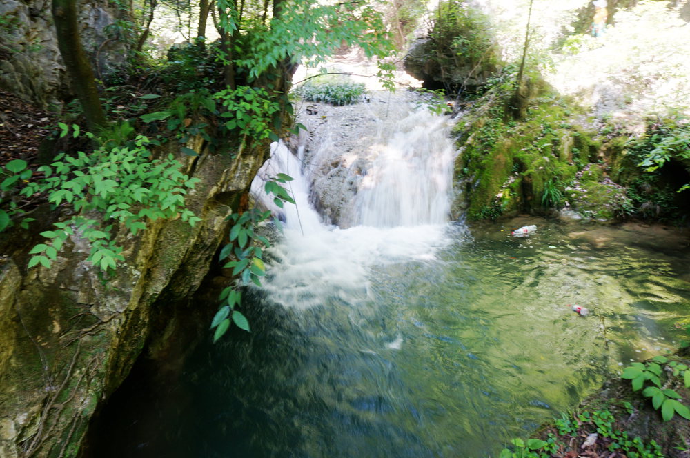 dsc02299_.jpg