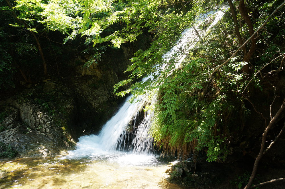 dsc02302_.jpg