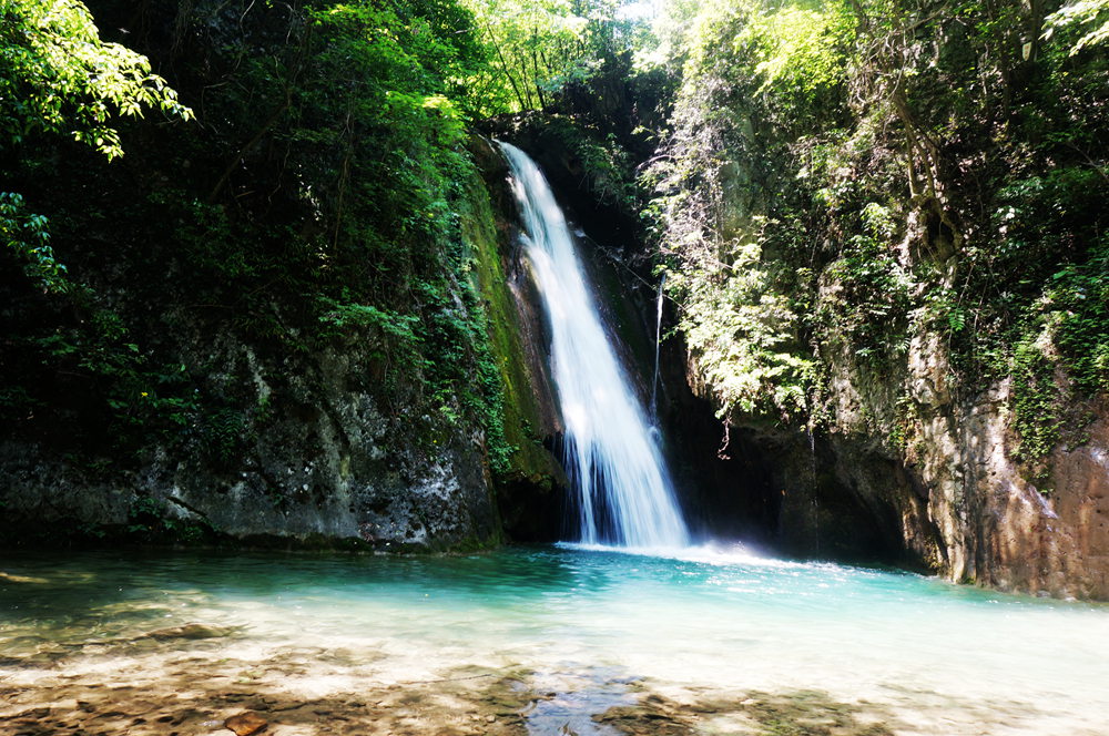 dsc02324_.jpg