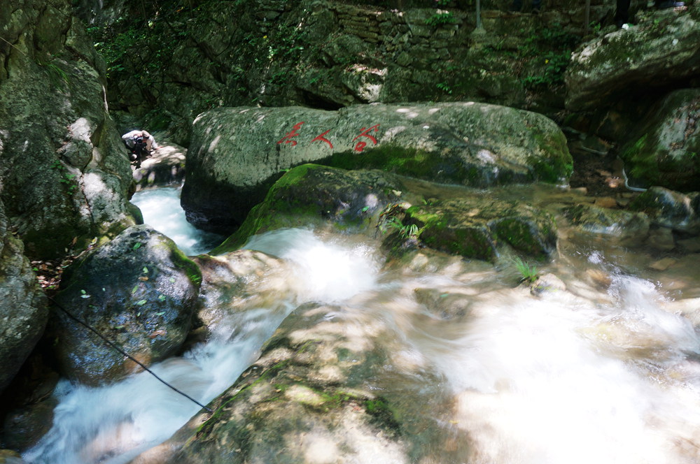 dsc02320_.jpg