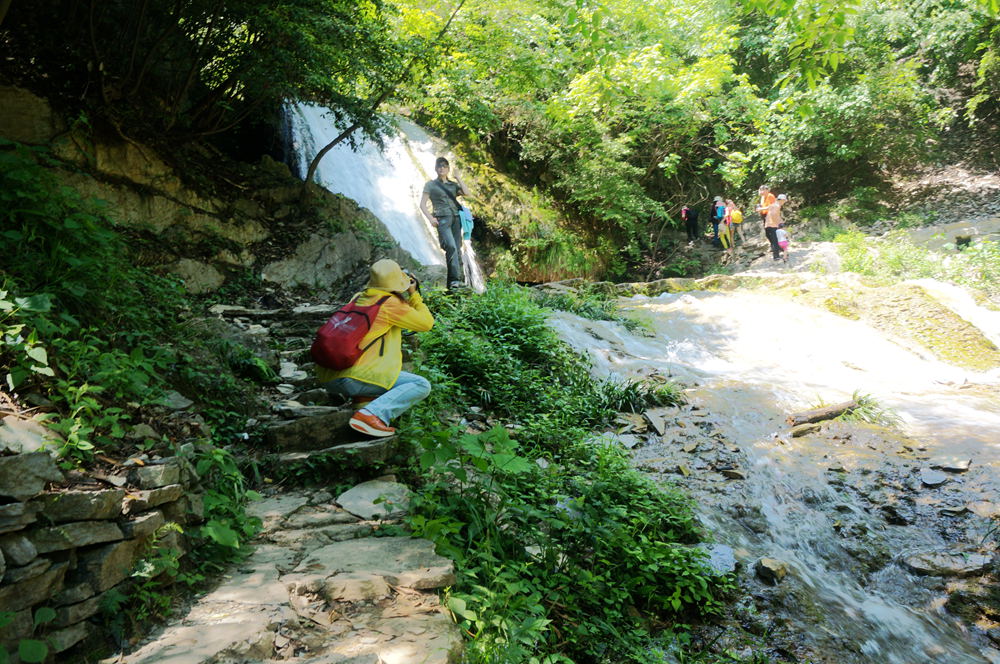 dsc02337_.jpg