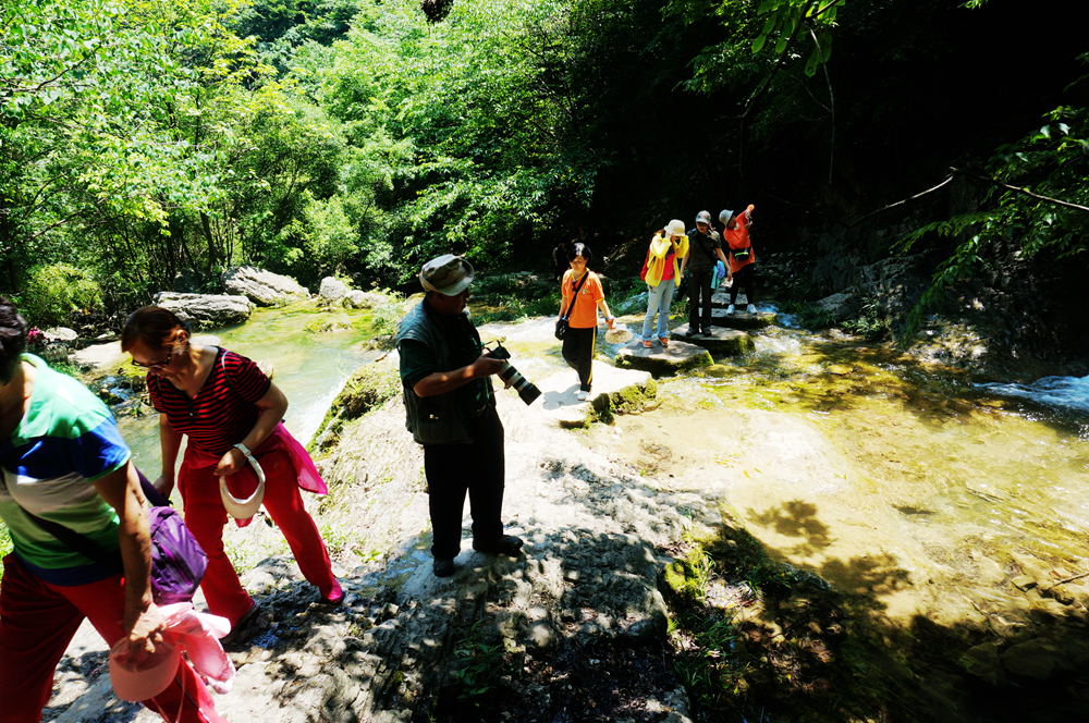 dsc02343_.jpg