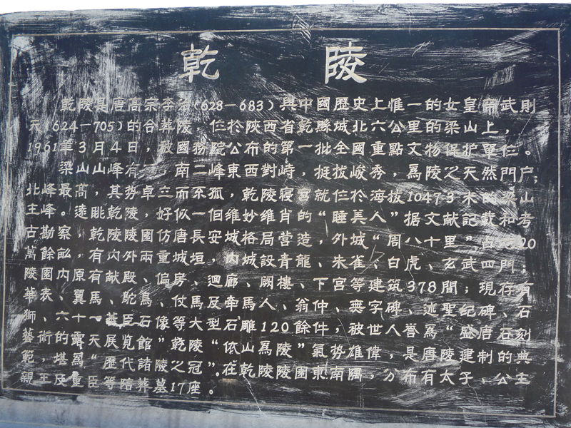 p1190383_.jpg